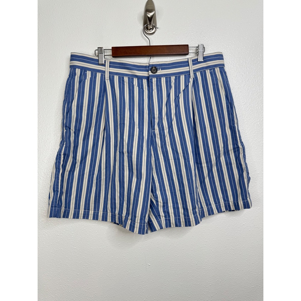 Everlane Womens Blue White Striped Pleated Chino Organic Cotton Shorts Size 14 - Picture 3 of 7